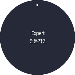 Expert 전문적인